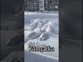 ❄️ Kamçatka Kar Yağışı ❄️ #kar #snow #kış #winter #russia #rusya #shorts #viral #kefşet #fyp