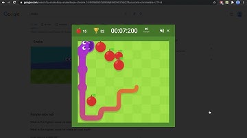 11.850s Google Snake Game Speedrun: 25 Apples - Slow, 5 Apples, Small