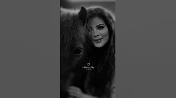 انا فرس اصاله Explore اغاني بدون حقوق مشاهير Edit اصالة نصري اصاله انا فارس اصالة نصري 