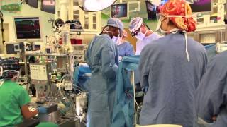 What does a pediatric perfusionist do? How do I become a perfusionist?