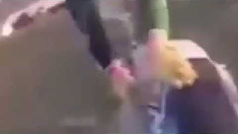 Intros foda - seilabixo