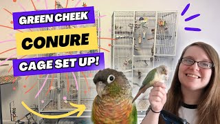 Green Cheek Conure Cage Set Up | BirdNerdSophie AD