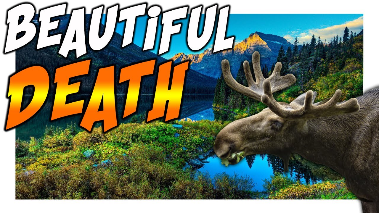 The Hunter Call Of The Wild | TAKING PICTURES AND KILLING ANIMALS