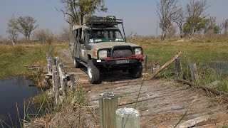 A Day on Safari in Okavango Delta   4K