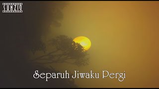 Anang Hermansyah - Separuh Jiwaku Pergi (Karaoke Version) No Vocal #sunziq