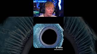 Human Body Parts Under A Microscope