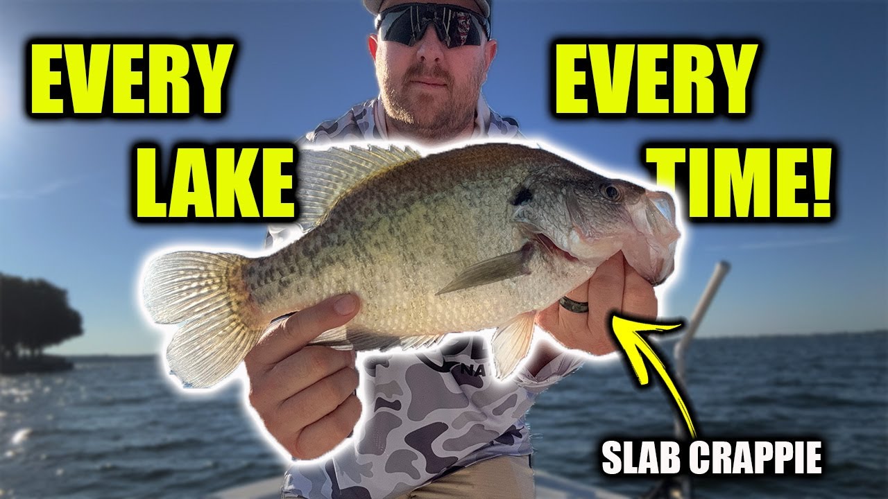 ВЫ МОЖЕТЕ НАЙТИ КРАППИ НА ЛЮБОМ ОЗЕРЕ — ВОТ КАК!