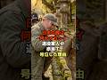 「日本の鹿は何かおかしい」米退役軍人が奈良で号泣した理由　#海外の反応 #鹿 #アメリカ