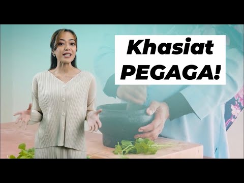 KENAPA WANITA PERLU NIKMATI KHASIAT PURELYB BY PEGAGA - video from PurelyB