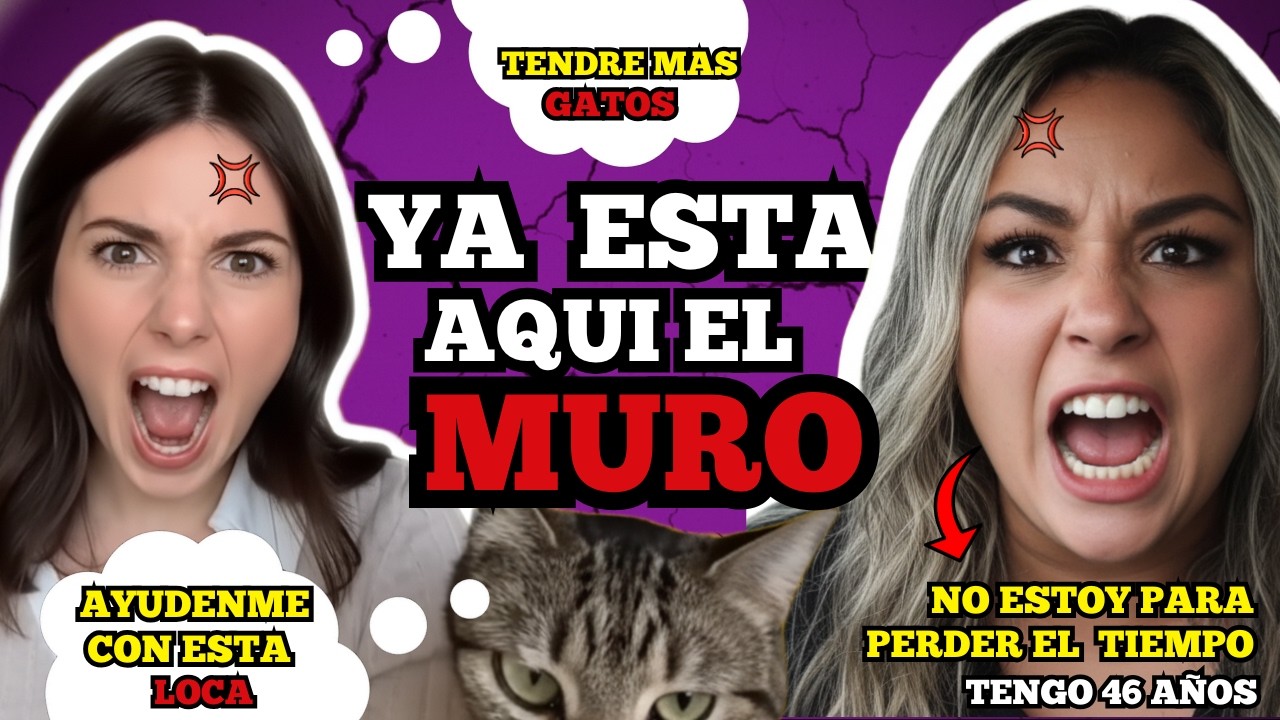 👉MUJERES POST MURO ENOJADAS PORQUE LOS HOMBRES YA NO LAS BUSCAN | (RECOPILACION)