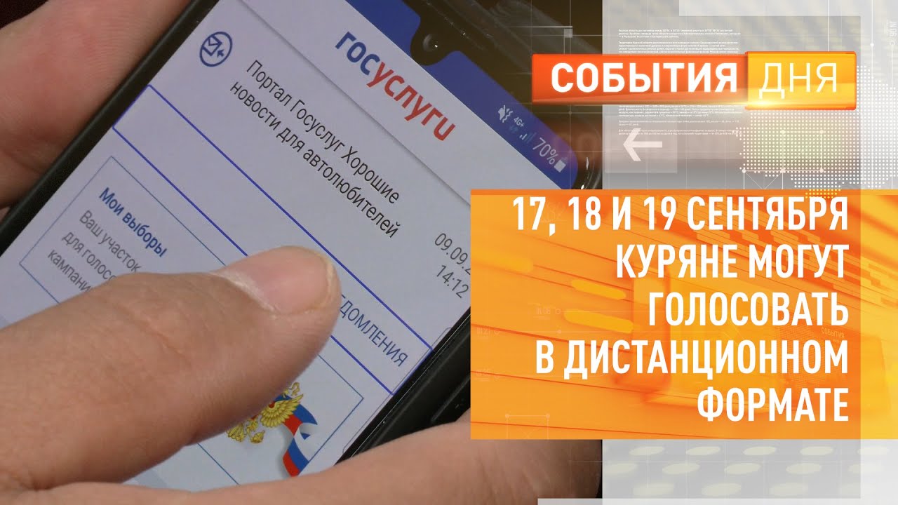 Почему не получается проголосовать дистанционно