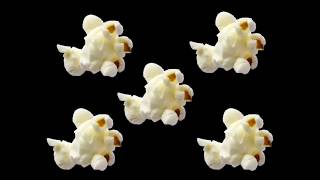 High Contrast Stories: 5 Popcorn Kernels