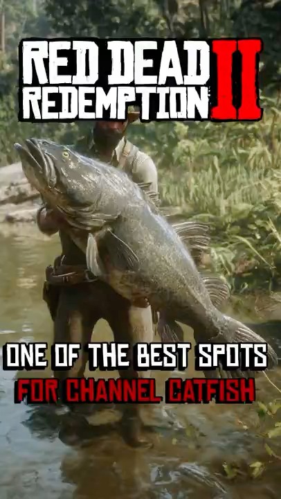 One Of The Best Spots For Channel Catfish In Rdr2 In 2025#shorts #rdr2 ...