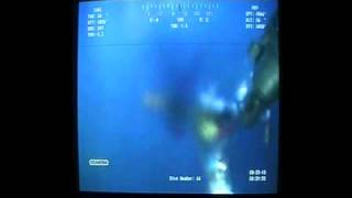 Macondo Well Oil Spill Plume 22-Miles Long