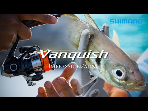 Vanquish インプレッション アジング／丹羽喜嗣