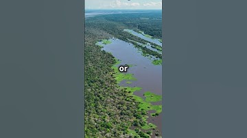 World Geography Quiz: Test Your Knowledge in 60 Seconds! 🌍 | Quick Quiz Challenge #quickfacts #facts