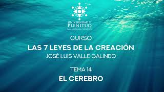 Curso GRATIS: Las 7 Leyes de la Creación - 14: El Cerebro / José Luis Valle by Jose Luis Valle 379 views 1 month ago 3 minutes, 39 seconds
