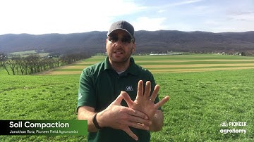 Soil Compaction - How to Avoid and Fix Problems