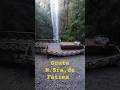 GRUTA NOSSA SRA. DE FÁTIMA (Dr. Pedrinho-SC) #shorts #viagem #turismo #nossasenhoradefátima