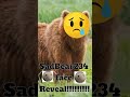 SadBear234 Face Reveal!!! #SadBear234