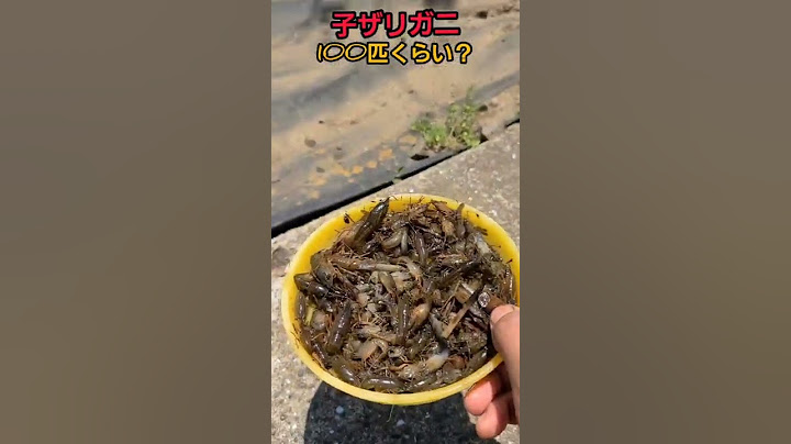 腹ペコのアヒルたちが超大量のザリガニを食べまくる