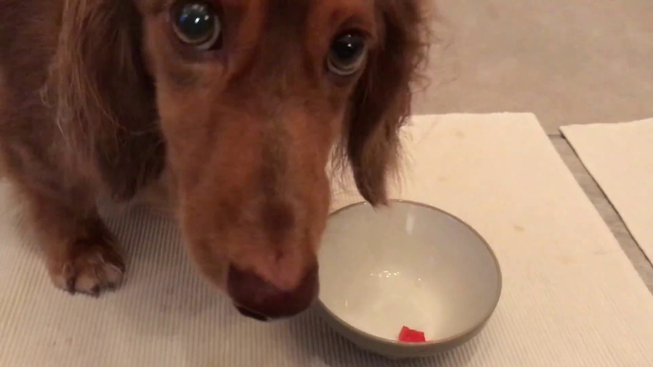 レシピあり 栄養スープの素 と マジカルパウダー の活用法 Obabaのブログ