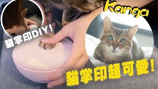 Kanga肉球超可愛! 留下貓貓掌印! 足跡拓印紀念球! (Vlog)(中文字幕)