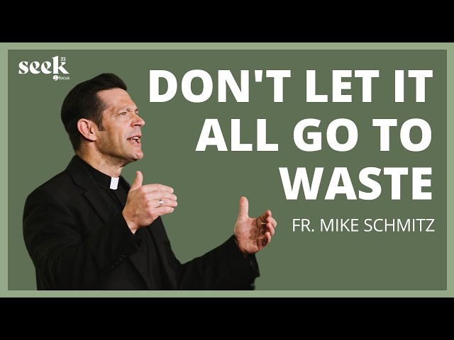 Fr. Mike Schmitz | SEEK22 | Don’t Let What Christ Did for You Go to Waste class=