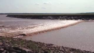 Tidal Bore - Bay of Fundy - Moncton - New Brunswick