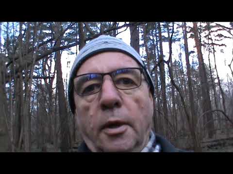 Кража эмоций 1