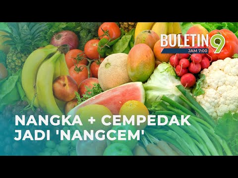 Video: Kerria Jepun Adalah Keajaiban Kuning. Pembiakan