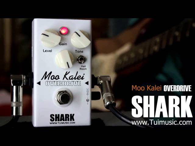 ギター SHARK Moo Kalei overdrive Shark Effect : Moo kalei Overdrive(หมูขาวเล็ก) test &review ( Eng