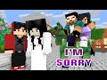 I&#39;M SORRY HEROBRINE - MONSTER SCHOOL