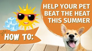 How To: Help Your Pet Beat the Heat This Summer