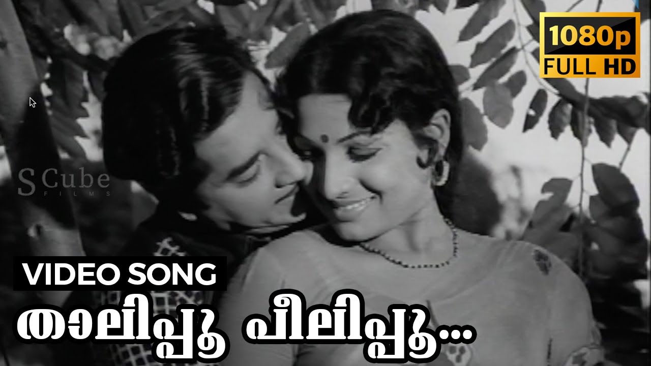 Thalipoo Peelipoo Video Song  Sujatha  Prem Nazir Jayabharathy  1977
