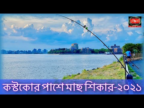 ভিডিও: কস্টকোর সভাপতি কে?