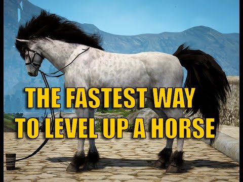 fastest way to make money with horses in bdp