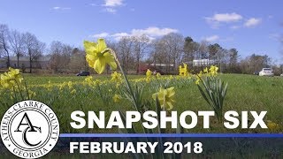 Snapshot Six - February 2018
