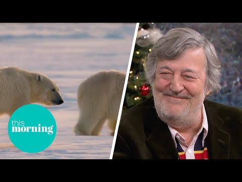 Stephen fry explores the animal kingdom in new breathtaking documentary | this morning