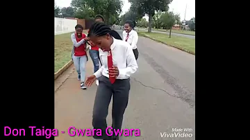 Gwara gwara Don Taiga - South African Girls moves Afrobeats Dance Music