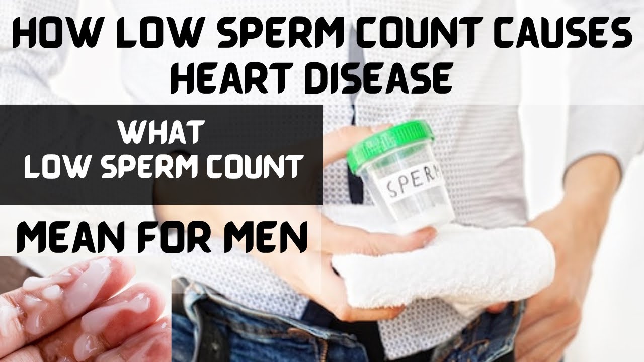 YOUR SPERM COUNTYOUR HEALTH HOW LOW SPERM COUNT AFFECT YOUR HEART