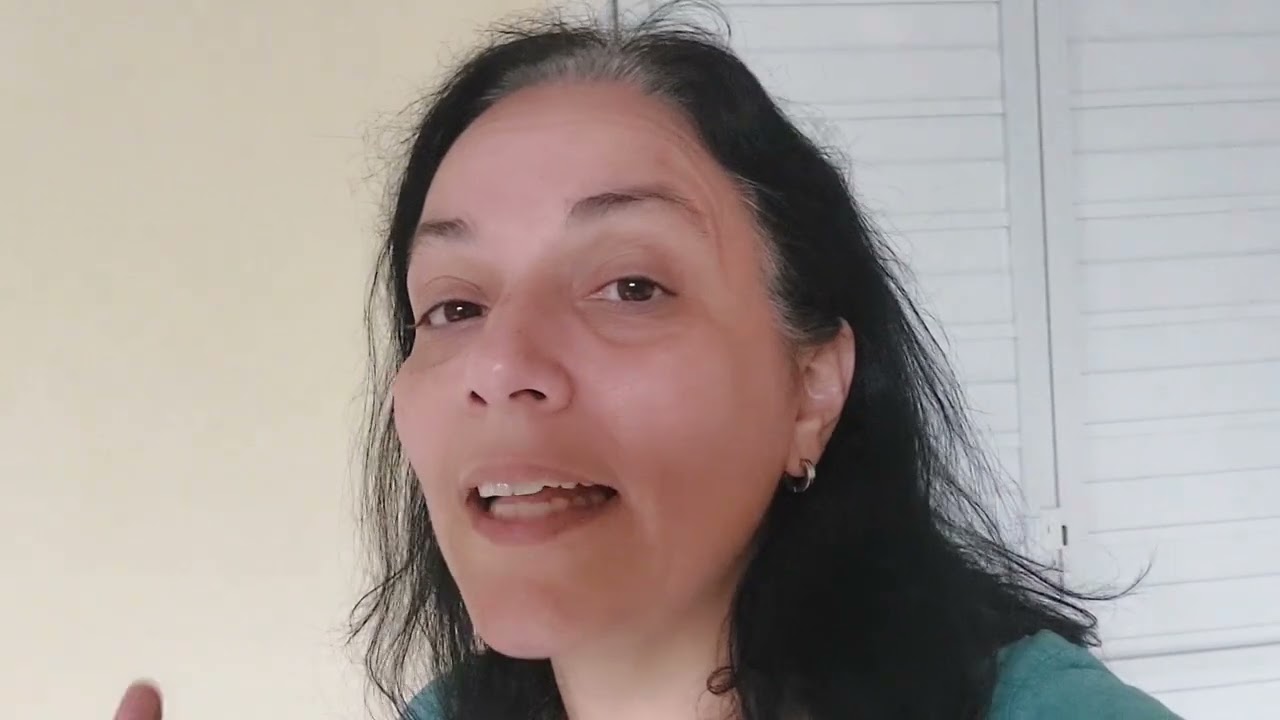 Conheça o Gatil