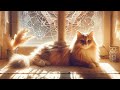 Melissa Free Range Psychic Live Show