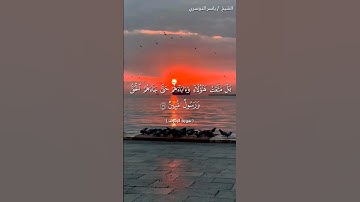 سورة الزخرف من آية 29 إلى آية 32 بصوت الشيخ ياسر الدوسري♥♥