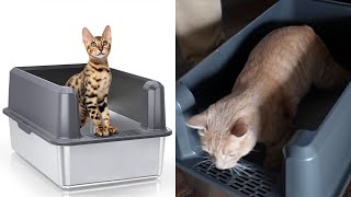 Enclosed Stainless Steel Litter Box with Lid Review