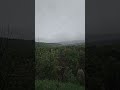 Lost in the sound of the falling rain.