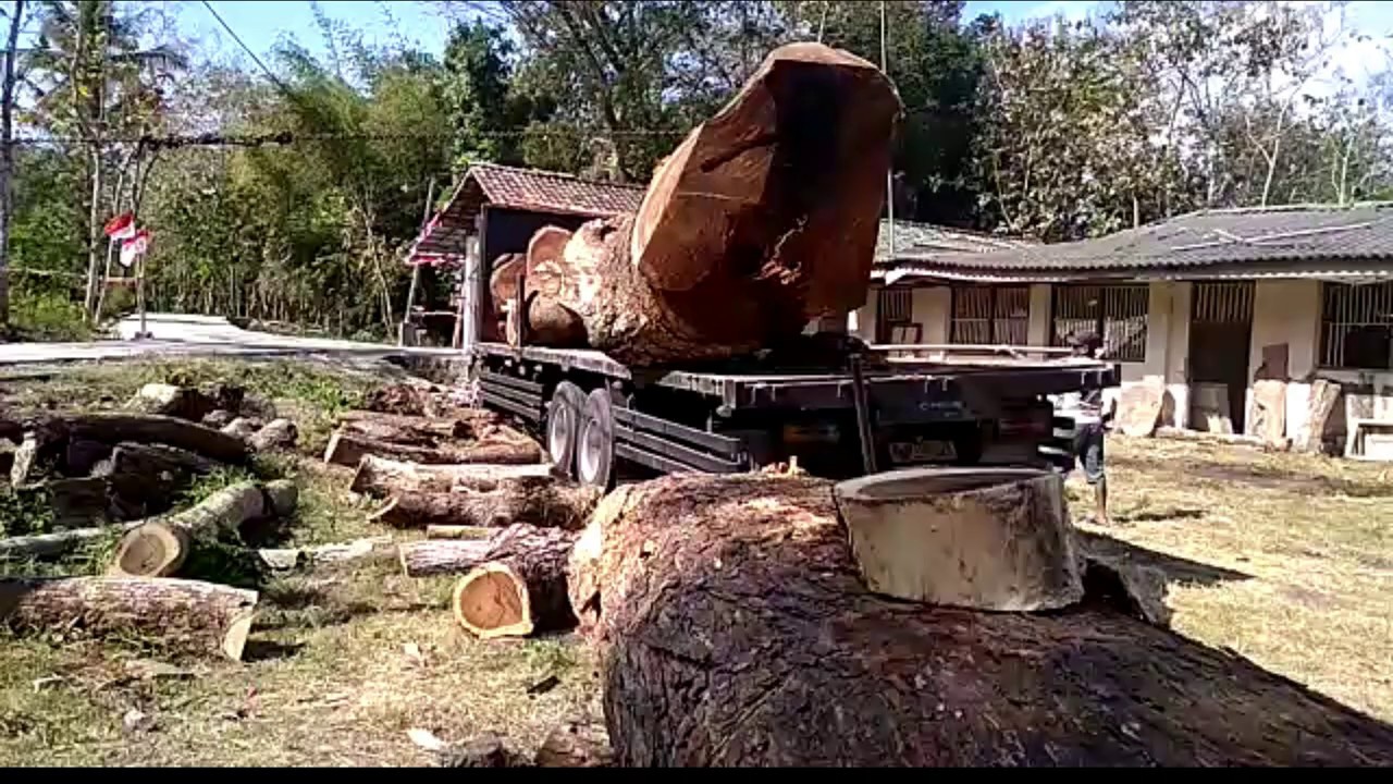 Menurunkan kayu  besar  dari truk  tronton YouTube