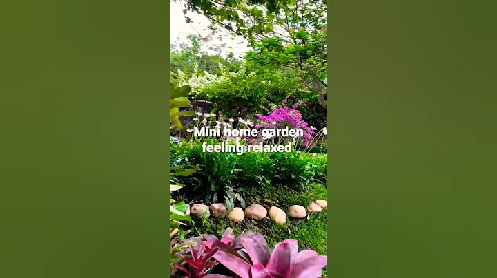 The fresh air of the morning in such a garden relaxes the mind. #flowers #nature #viral #gardening - DayDayNews