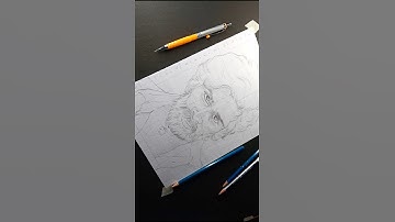 Pushpa Raj Drawing 💯💯❤️,,,,#pushpa2 #pushpa #drawing #shorts #drawingalluarjun