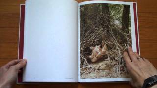 Presenting A Portrait of the Artist as a Young Mother by Katharina Bosse